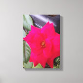 Foto Canvass Art Leinwanddruck (Vorderseite)