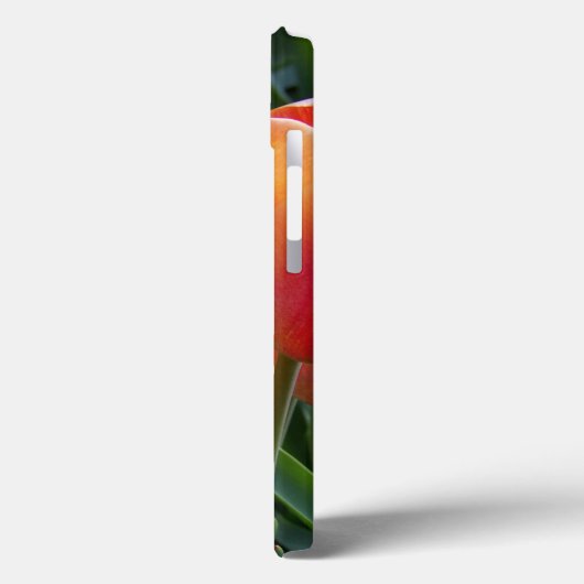 Foto Case-Mate iPhone Hülle (Rückseite / Links)