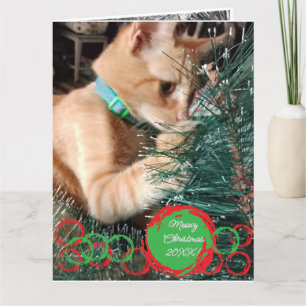 Foto Cat Text Anpassen Weihnachtskarte Karte