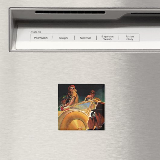 Foto-Chance Magnet (In Situ (Geschirrspüler))