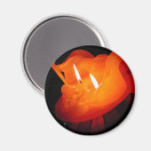 Foto: CHG Magnet (Vorderseite/Rückseite)