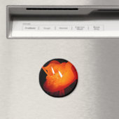 Foto: CHG Magnet (In Situ (Geschirrspüler))