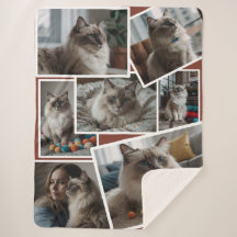 Foto Cluster Brown - 7 verstreute Fotos