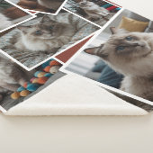 Foto Cluster Brown - 7 verstreute Fotos Sherpadecke (3/4)