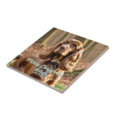 Foto Cocker Spaniel KEEPSAKE Personalize Fliese (Seite)
