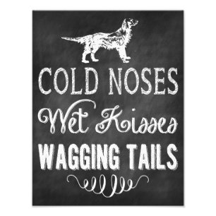 Foto "Cold Noses Wet Kisses" drucken