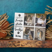 Foto-Collage Cat Memorial für den Heimverlustfall Fotoplatte (Seite)