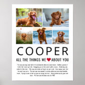 Foto Collage Dinge, die wir Liebe über Sie Haustie Poster (Vorne)