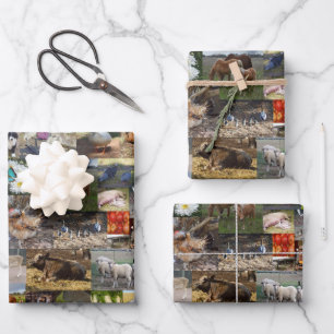 Foto-Collage, Geschenkblätter, Geschenkpapier Set