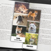 Foto Collage Hund Name und Angebotswahrheit