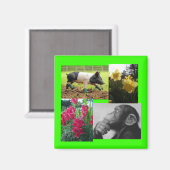 Foto-Collage Magnet (Vorderseite/Rückseite)