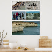 Foto-Collage Punta loma, Provinz Chubut, argenti Poster (Küche)