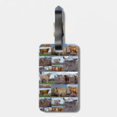 Foto-Collage von Hochlandkühen, Gepäckmarke Gepäckanhänger (Rückseite vertikal)