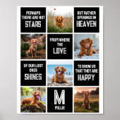 Foto-Collage zum Dog-Memorial Poster (Vorne)