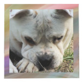 Foto Cube - HAMbWG - mit weichen bunten Rahmen (Rechts)