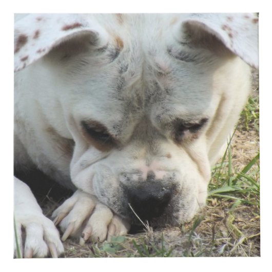 Foto Cube - HAMbWG Würfel (Rechts)