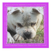 Foto Cube - Helle Farbrahmen - HAMbWG Würfel (Rechts)