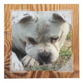 Foto Cube - Imitate Holzrahmen - HAMbWG Würfel (Rechts)