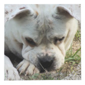 Foto Cube mit Lacklook Framing - HAMbWG Würfel (Rechts)