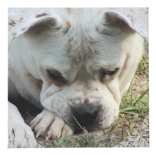 Foto Cube mit Lacklook Framing - HAMbWG Würfel (Rechts)