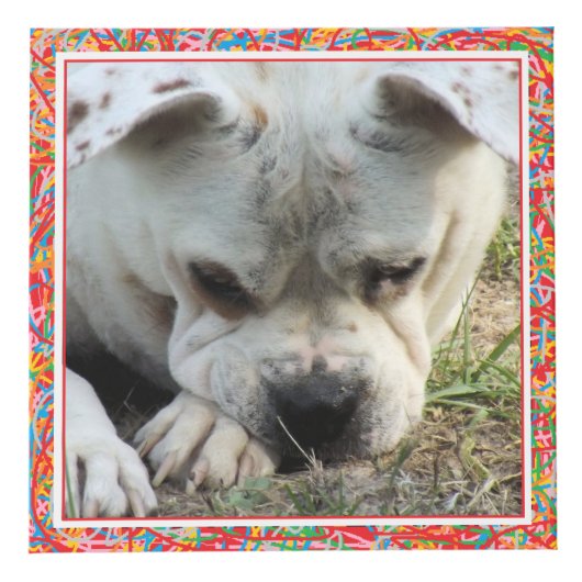 Foto Cube - Primärfarbrahmen - HAMbWG Würfel (Rechts)