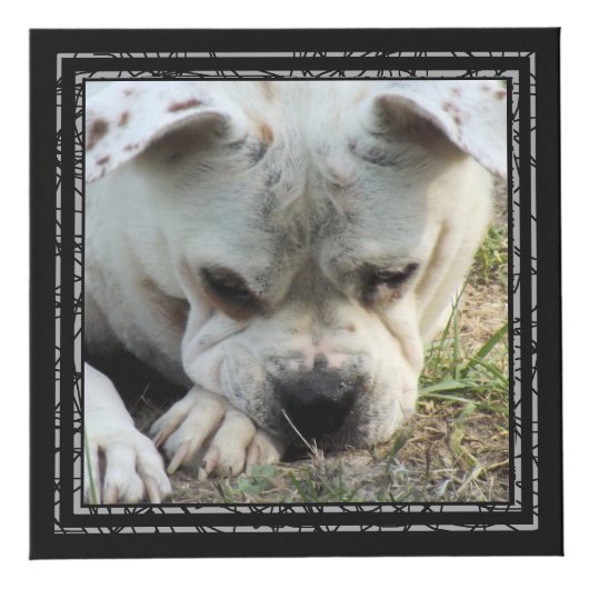 Foto Cube - Schwarze Rahmen - HAMbWG (Rechts)