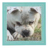 Foto Cube - Soft Frame - HAMbWG Würfel (Rechts)