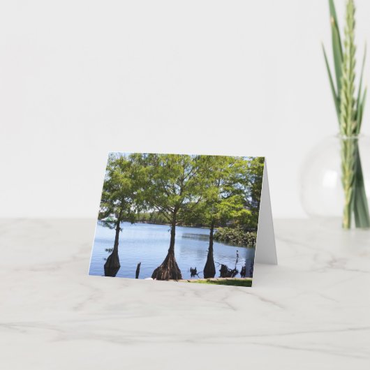 Foto "Cypress Trees"-Notizkarte (Vorderseite)