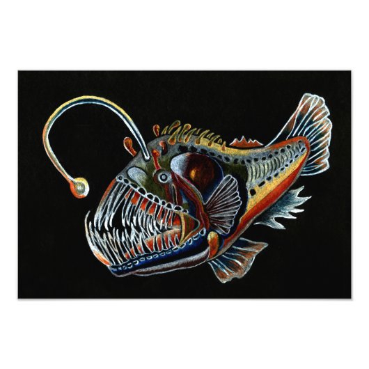 Foto "Deep Sea Angler Fish" (Vorne)