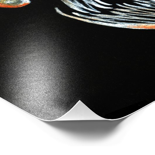 Foto "Deep Sea Angler Fish" (Ecke)