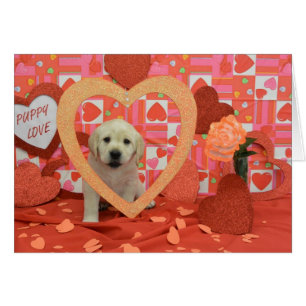 Foto der Aufregungs-Wochen-6