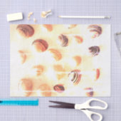 Foto der Beach Muschel druckt benutzerdefiniertes Seidenpapier (Handwerk)