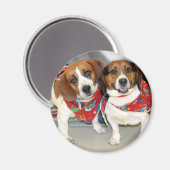 Foto der Beagle Magnet (Vorderseite/Rückseite)