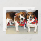 Foto der Beagle Postkarte (Vorne/Hinten)