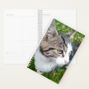 Foto der benutzerdefinierten Katze, monatlich Planer
