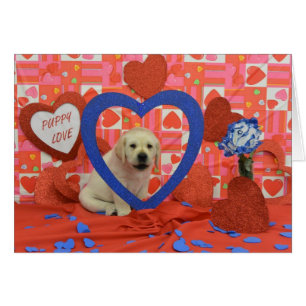 Foto der Blizzard-Wochen-6