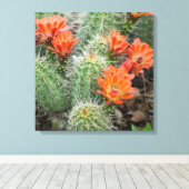 Foto der blühenden Kaktus - Colorado Wüste Mauer K Leinwanddruck (Insitu (Holzboden))