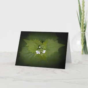 Foto der Blumenart Karte