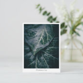 Foto der Blumenart Postkarte (Stehend Vorderseite)