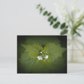 Foto der Blumenart Postkarte (Stehend Vorderseite)