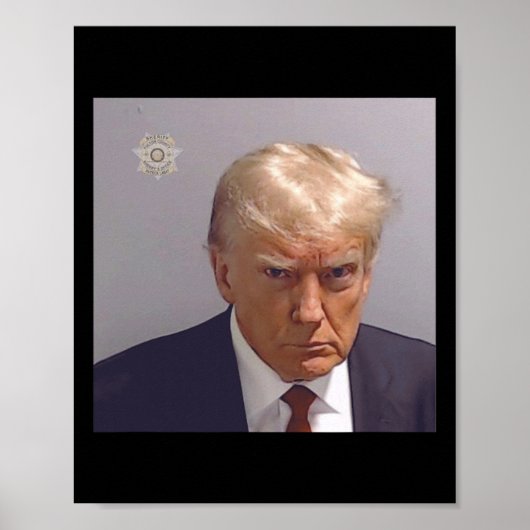 Foto der Buchung von Donald Trump Poster (Vorne)