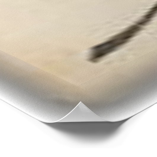 Foto der Büffelschachtel Poster (Ecke)