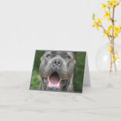 Foto der Cane Corso Card Karte (Gelbe Blume)