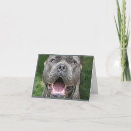 Foto der Cane Corso Card Karte