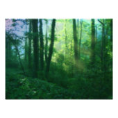 Foto der Fruchtbarkeit (Vorne)