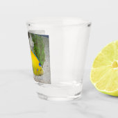 Foto der Gelben und Blauen Königin Angelfish Schnapsglas (Rechts)