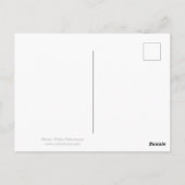 Foto der gemeinsamen Seeschwalbe Postkarte (Rückseite)