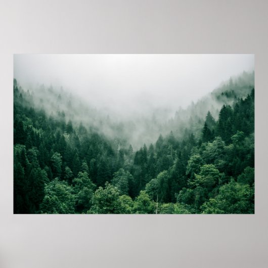 Foto DER GRÜNEN BÄUME Poster (Vorne)