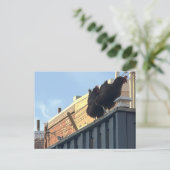 Foto der Hühner Postkarte (Stehend Vorderseite)