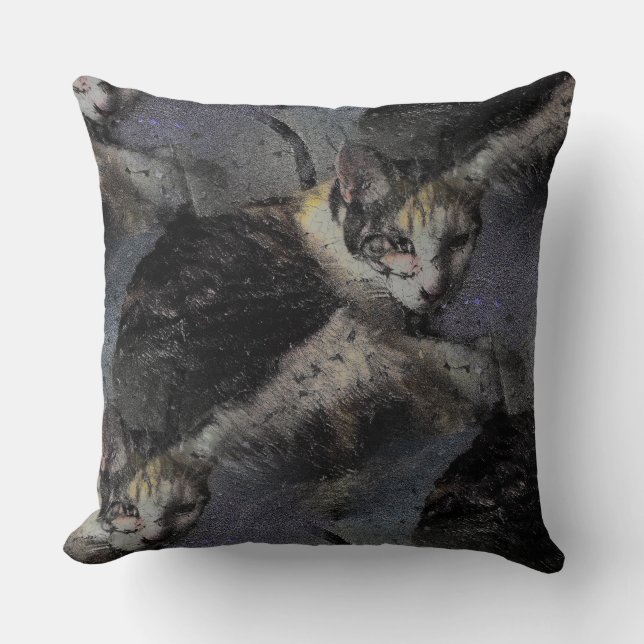 Foto der Katze mit Effec-Talg Kissen (Vorderseite)